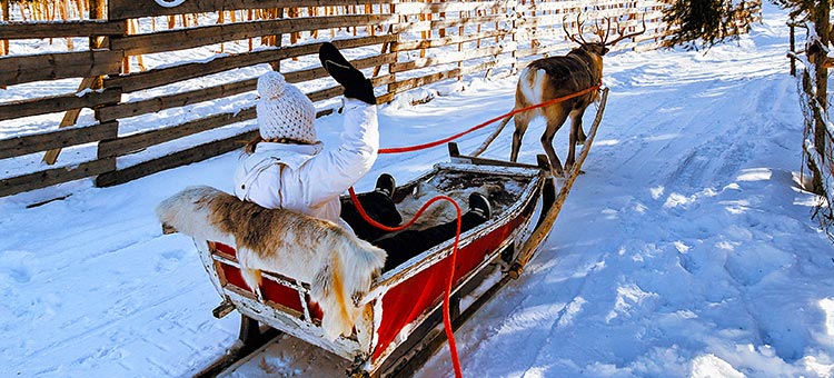 Rovaniemi - vis si magie acasa la Mos Craciun