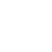 vandal